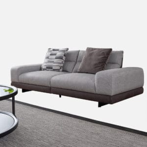 canapea-leona-3