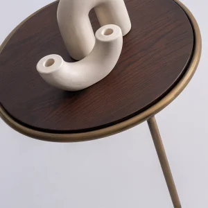 Accosta Riley Side Table 1