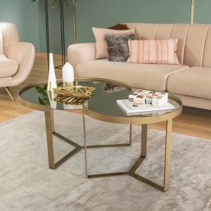 Brunetta Nevada Coffee table 1
