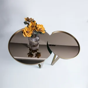 Brunetta Nevada Coffee table 2