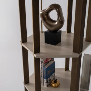 Pianeta stella bookshelf 4