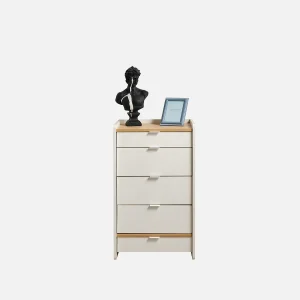 dresser_treno_2